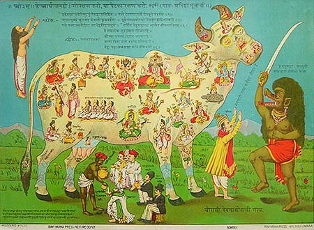 Datei:Sacred cow2.jpg