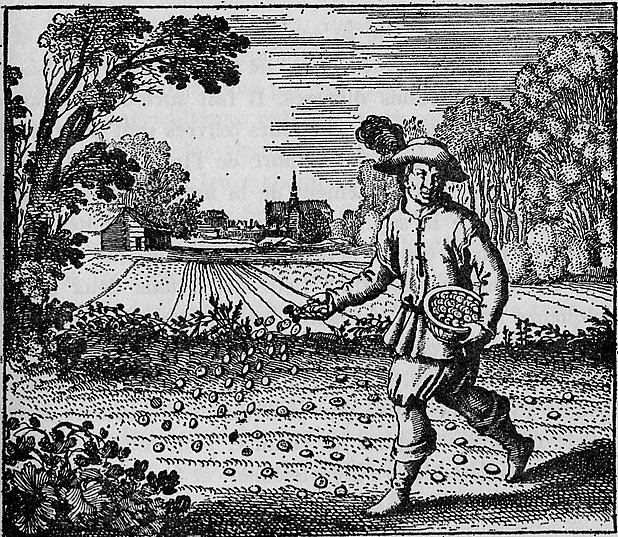 Datei:Atalanta Fugiens-Emblem 6.jpg