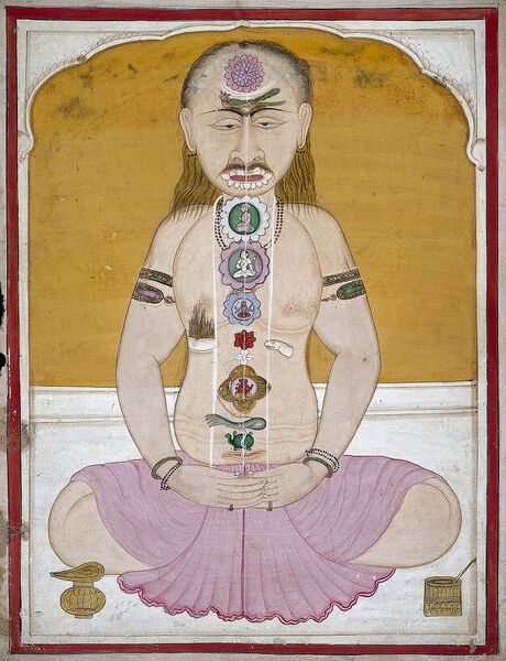 Datei:Oriental MS Indic beta 511 Wellcome L0029118.jpg