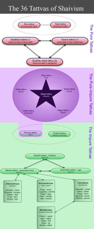 Tattvas36.jpg