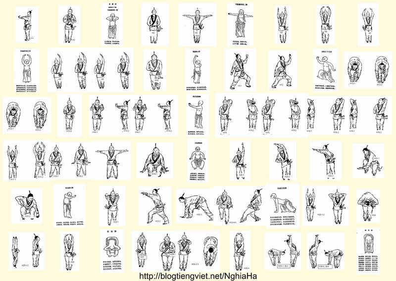 Datei:DichCanKinh-Yi Jin Jing.jpg