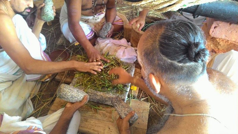 Datei:Soma purification.jpg